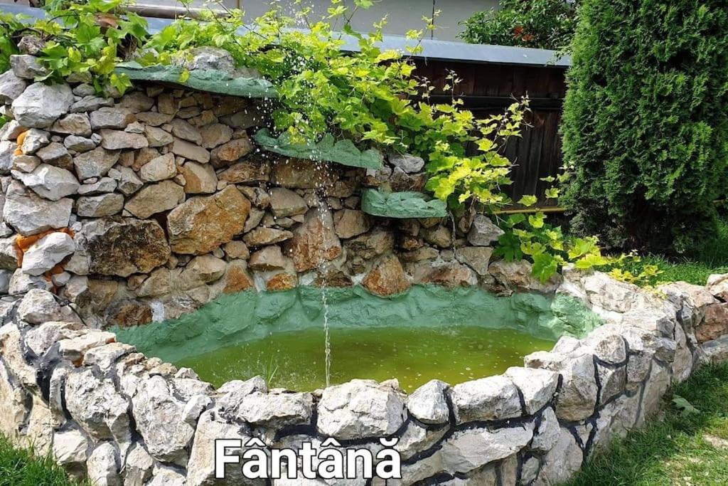 Ciprians' Home Săcele Buitenkant foto
